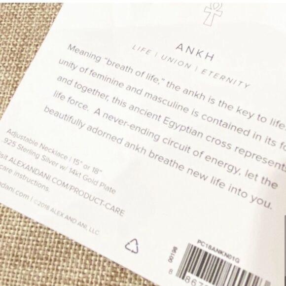 Alex and Ani Color Infusion 18" Ankh Necklace - Picture 13 of 15